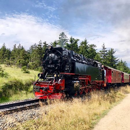 Fewo Fuchsbau Mit Dampfdusche #Kamin#Innenstadtnaehe#Netflix Von Harztraveler Bad Harzburg Exterior foto